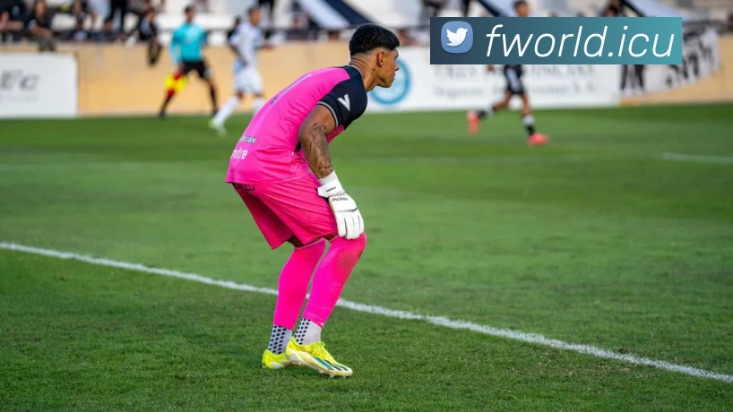 mksports官方APP 体育赛事宣传图